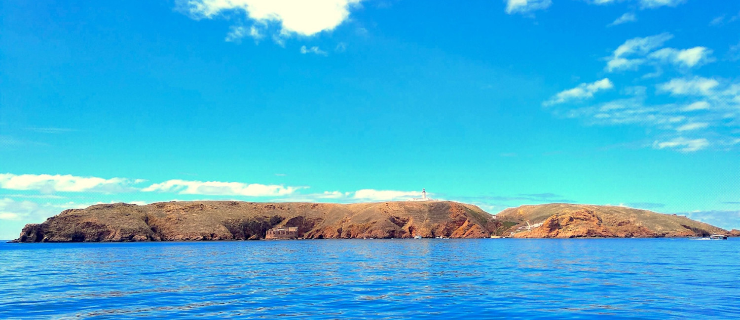 Optimizing your trip to Berlenga Island in 2026
